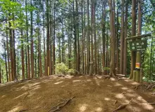高畑山
