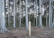 麻生山