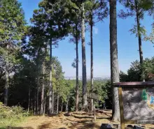 草戸山