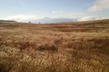 霧ヶ峰
