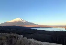 鉄砲木ノ頭