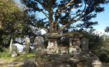 三浦富士