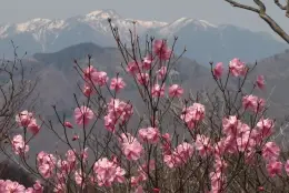 薬師岳