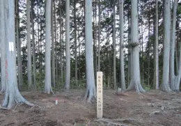 麻生山