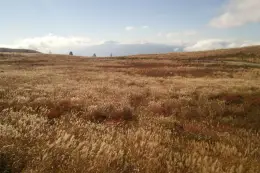 霧ヶ峰