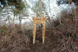松田山