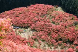 大和葛城山