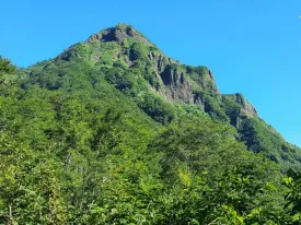 鋸岳