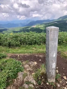 秣岳