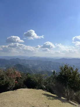 真妻山