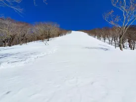 後白髪山