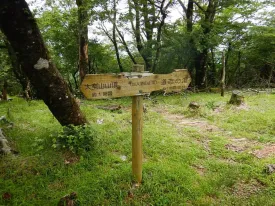 加入道山