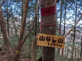 山なし山