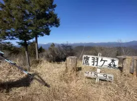 鷹羽ヶ森