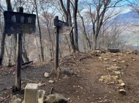 鳴虫山