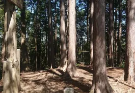 中ノ沢ノ頭