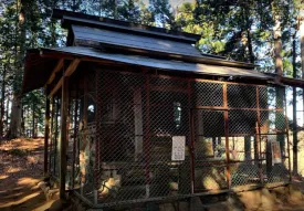 惣岳山