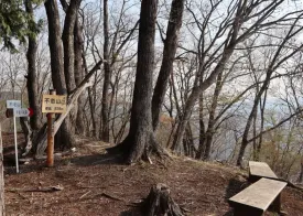甲東不老山