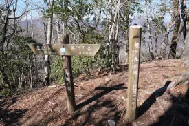 畦ヶ丸山