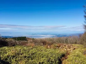 皿ヶ嶺