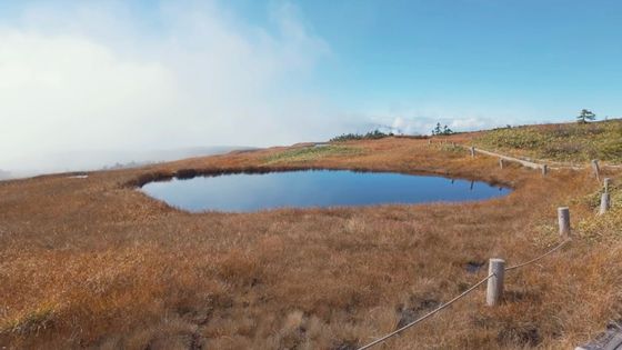池塘と草紅葉のパラダイス！苗場山の山頂がまるで天国だった