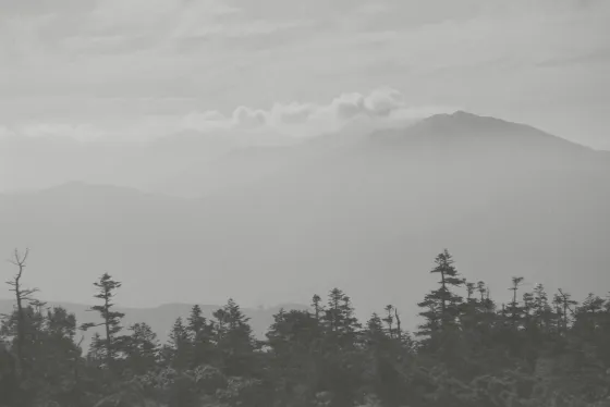 苗場山 / 天国のような山頂