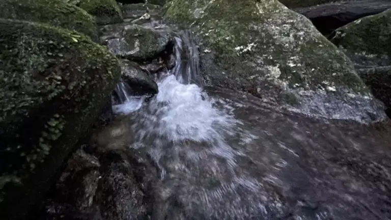 九州の日本百名山宮之浦岳屋久島の水場