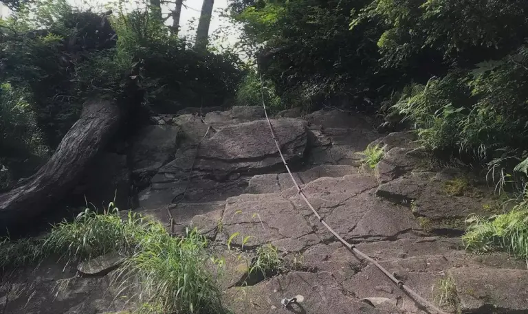 オールシーズン楽しめる登山コース
