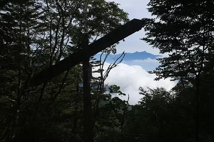 広河原峠までの登山道