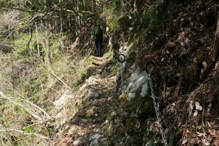 大山三峰山 登山 登山道