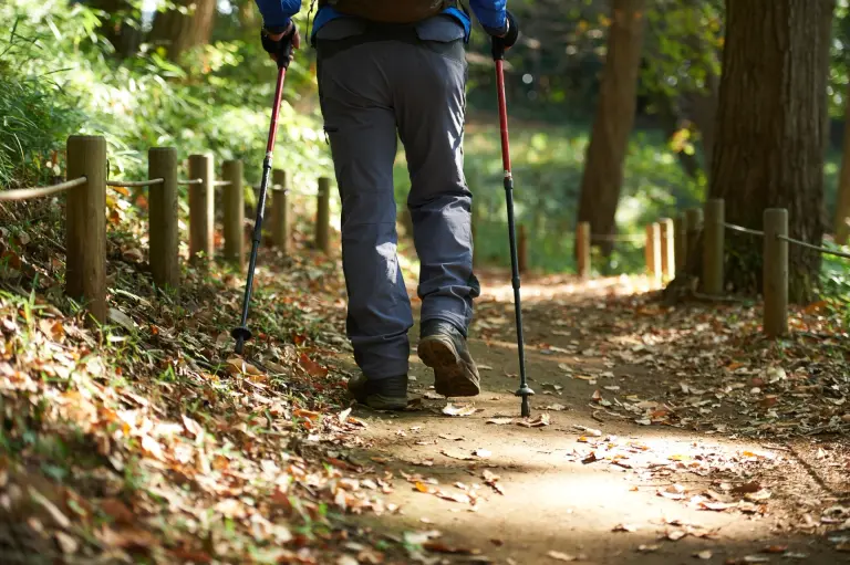 【2025年】信頼の相棒トレッキングポール厳選7モデルを比較｜トレッキングポール｜登山ギア｜山のモノ｜登山・トレラン・山スキーマガジン「山旅旅」