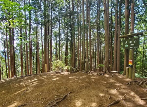 高畑山