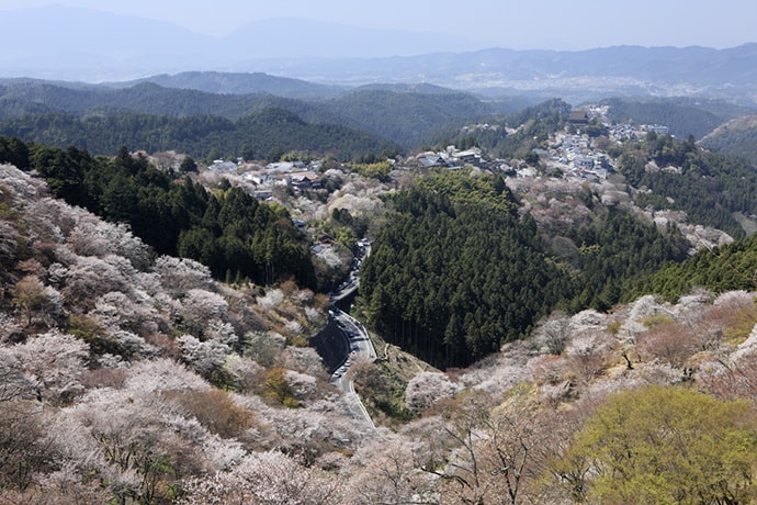 日本一の桜の名所『吉野山』で楽しむハイキング
