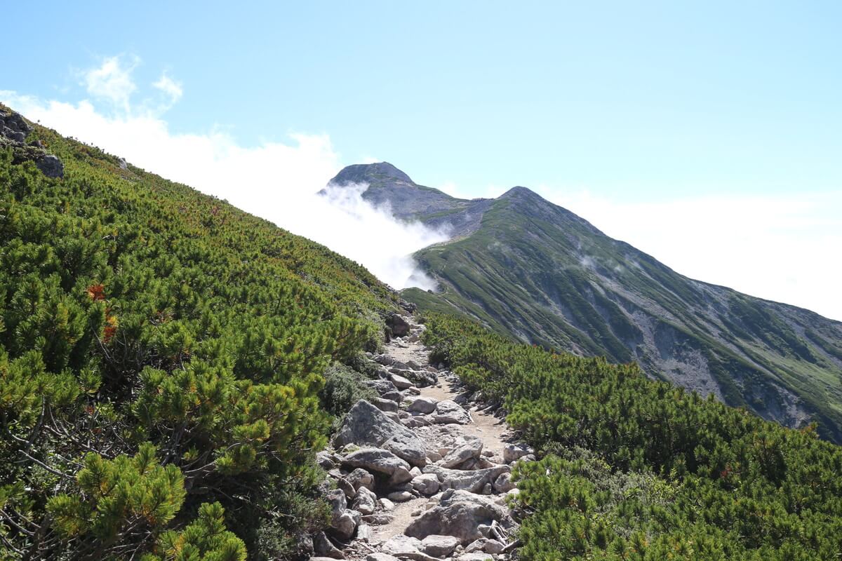 笠ヶ岳への登山道