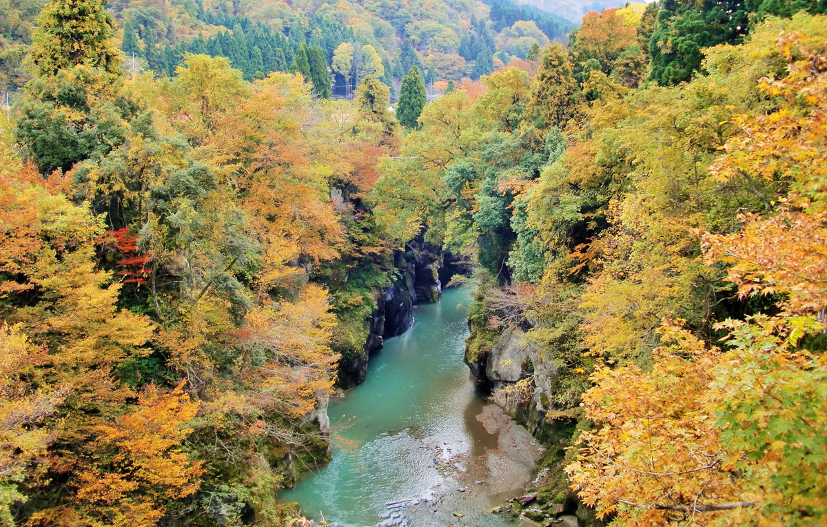 秋に訪れたい加賀の國おすすめ紅葉スポット７選