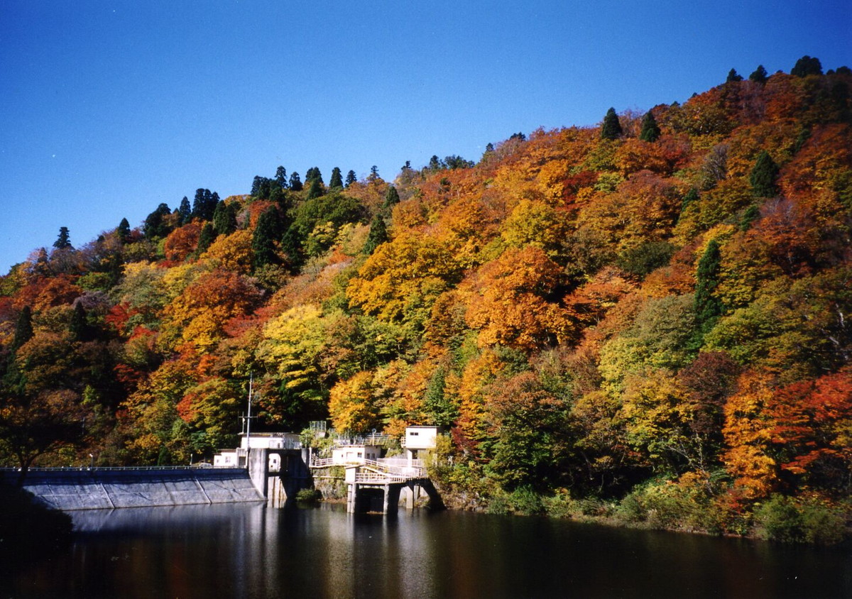 鳥取県の山旅 紅葉と秋の味覚・温泉を堪能