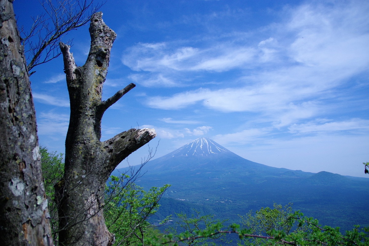 王岳　鬼ヶ岳　富士山