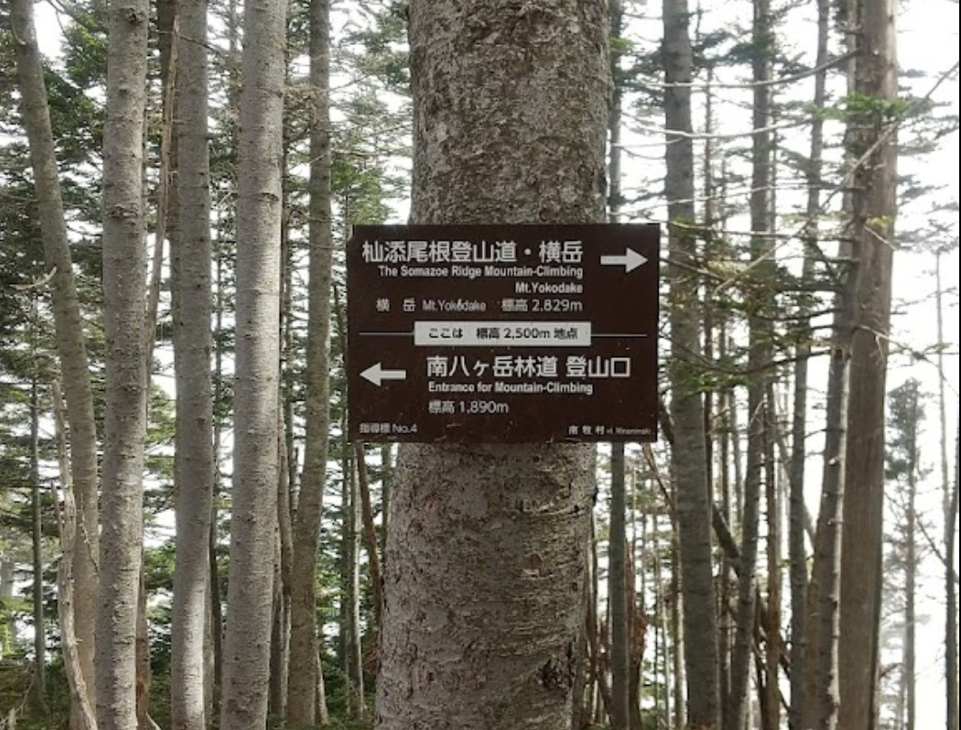 杣添尾根でアクセスする日帰りも可能な登山コース