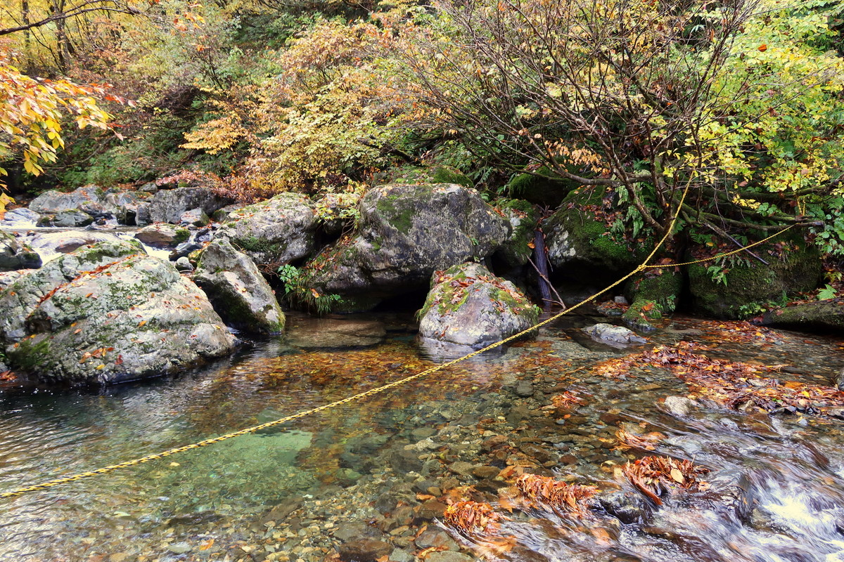 谷川連峰の絶景紅葉その3『大源太山』
