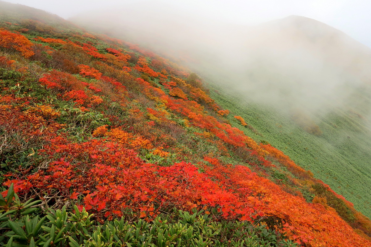 谷川連峰の絶景紅葉その1『平標山･仙ノ倉山』3
