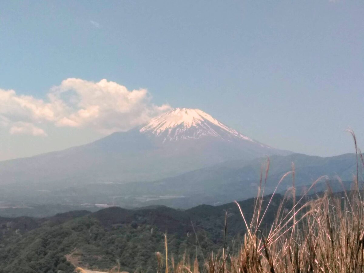 丹沢　大野山　ハイキング　富士山