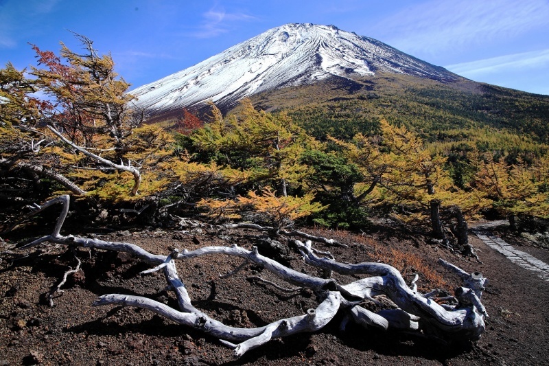 紅葉登山 富士山