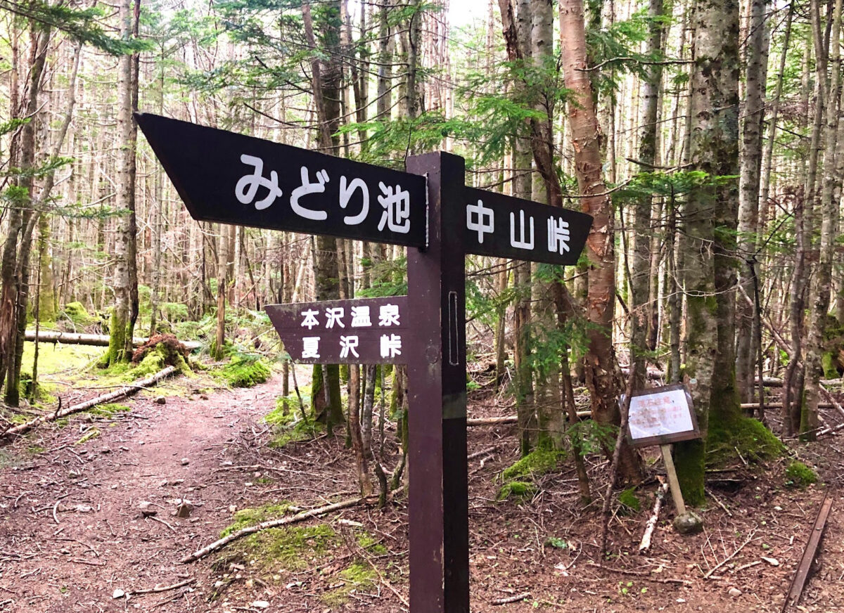 日本最高所野天風呂を楽しむ-本沢温泉を基地にして楽しむ初中級者向け登山コース