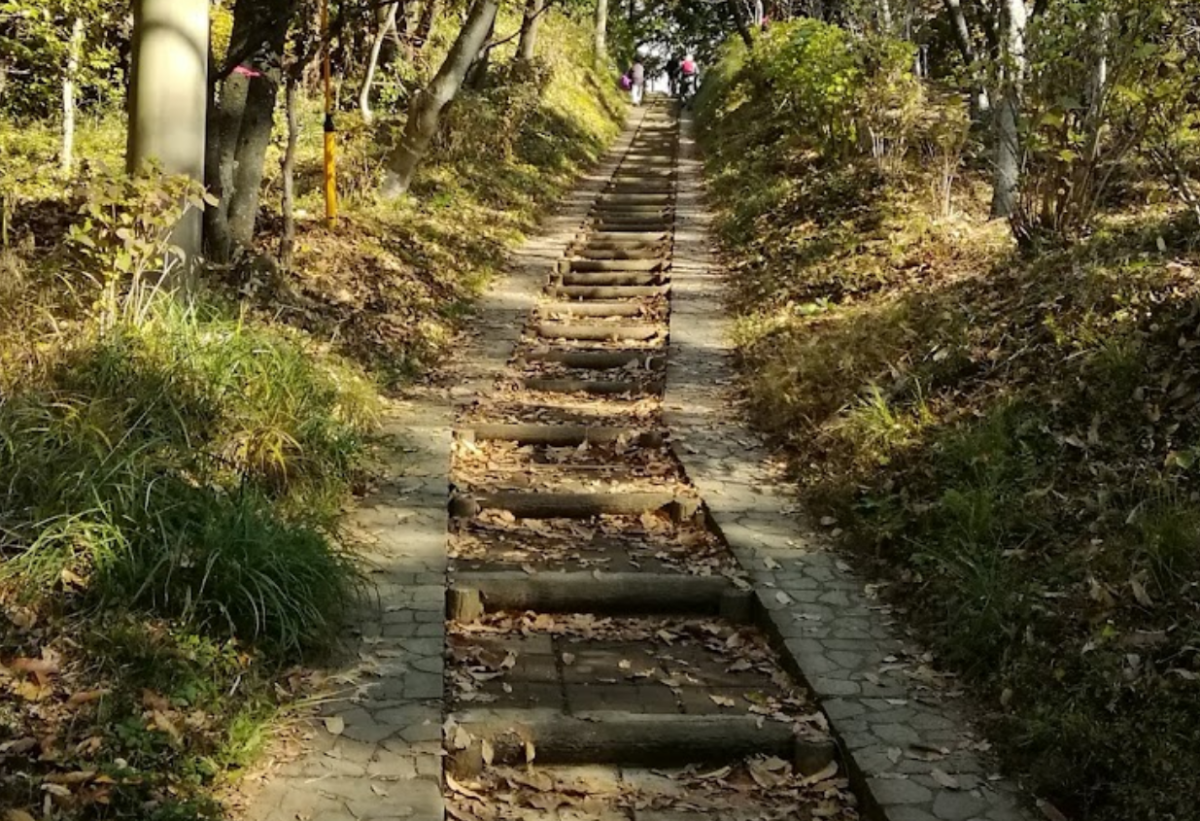 弘法山、登山道、階段