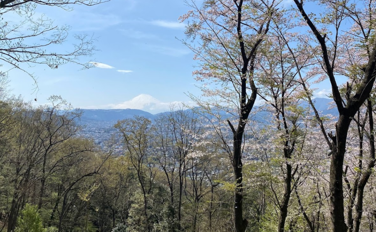 弘法山、眺望、富士山