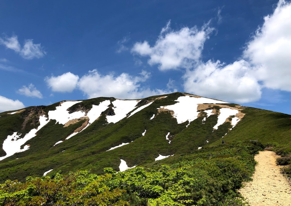 【日帰り登山】周回コースで様々な高山植物を楽しむ梅雨登山ルート