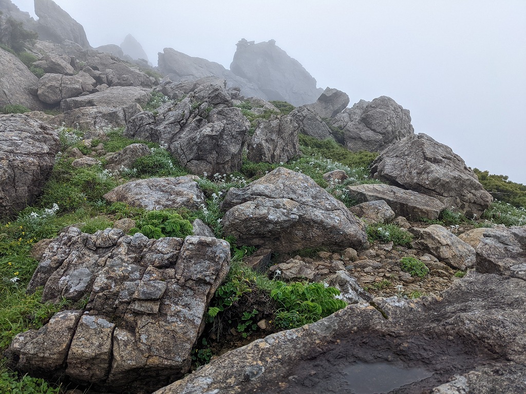 早池峰山の巨岩と高山植物