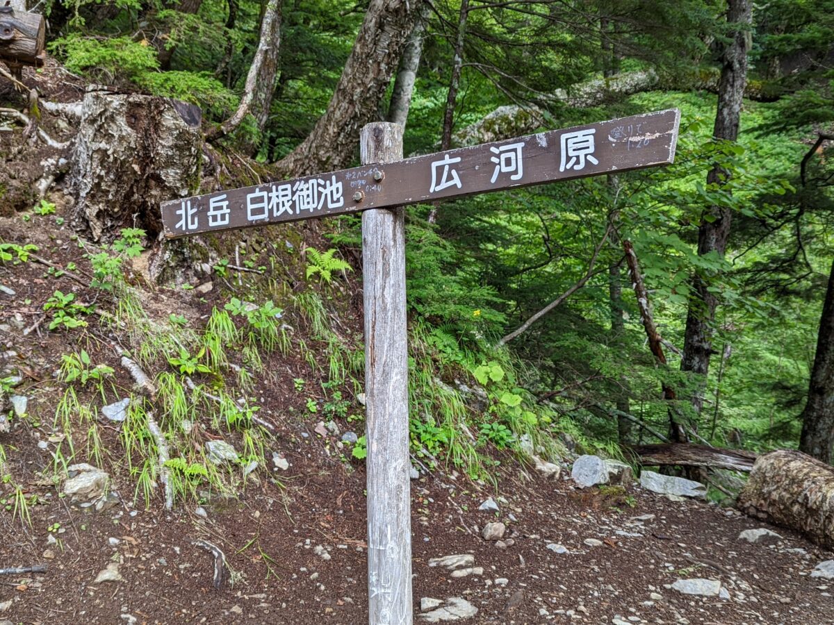 北岳 登山道