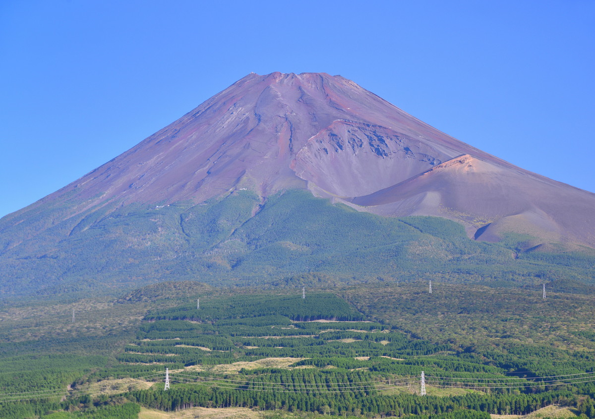 【初心者登山におすすめ】振り返れば富士山の眺めを満喫できる十里木コース