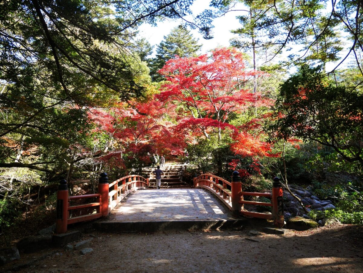 宮島の紅葉の魅力を写真で紹介